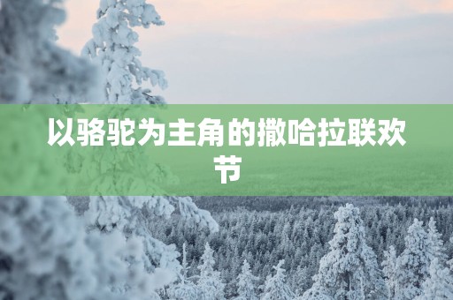 以骆驼为主角的撒哈拉联欢节