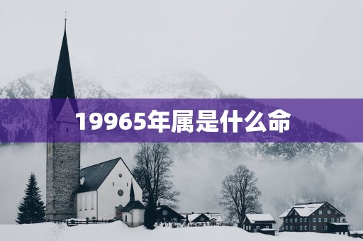 19965年属是什么命