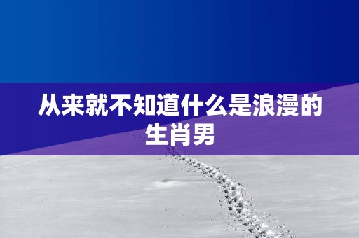 从来就不知道什么是浪漫的生肖男