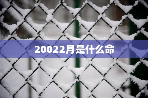 20022月是什么命