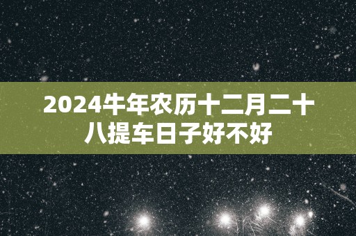 2025蛇年农历十二月二十八提车日子好不好