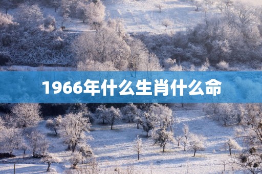1966年什么生肖什么命