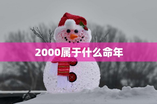 2000属于什么命年