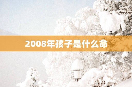 2008年孩子是什么命