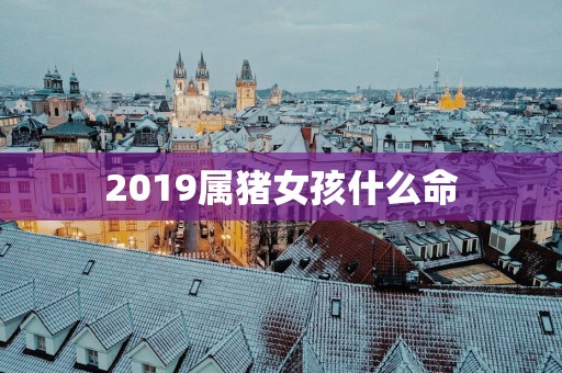 2019属猪女孩什么命