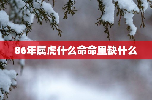 86年属虎什么命命里缺什么