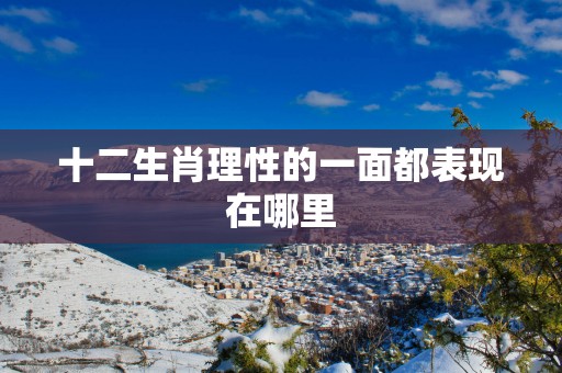 十二生肖理性的一面都表现在哪里