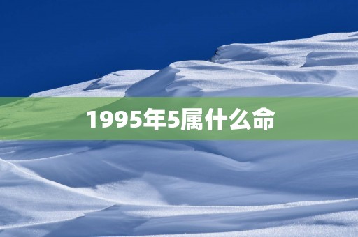 1995年5属什么命