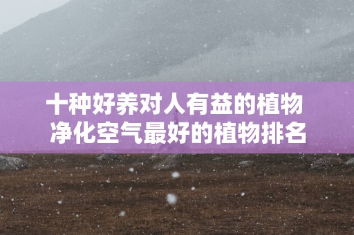 十种好养对人有益的植物 净化空气最好的植物排名