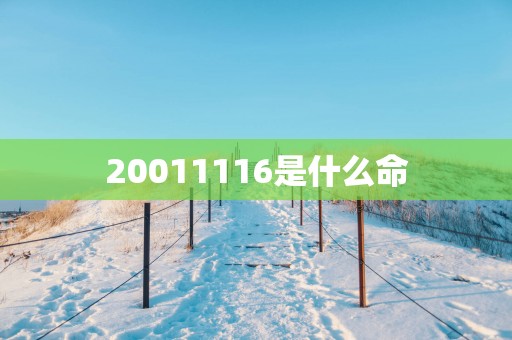 20011116是什么命