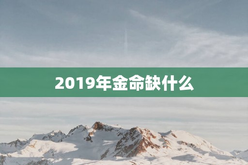2019年金命缺什么