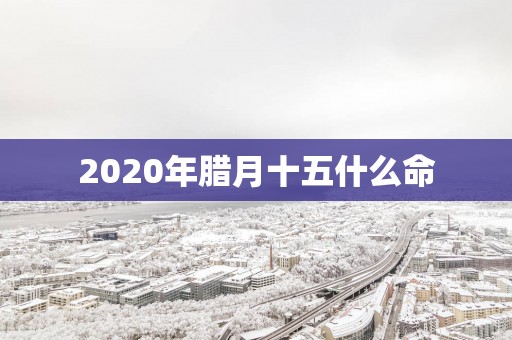 2025年腊月十五什么命