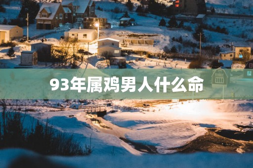 93年属鸡男人什么命