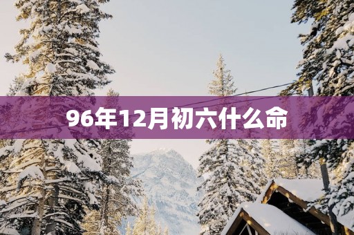 96年12月初六什么命