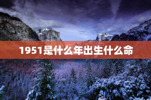 1951是什么年出生什么命