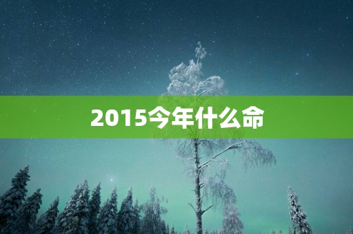2015今年什么命