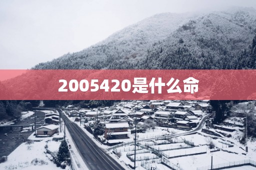 2005420是什么命