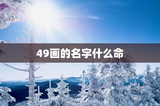 49画的名字什么命