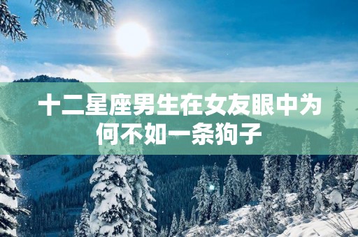 十二星座男生在女友眼中为何不如一条狗子