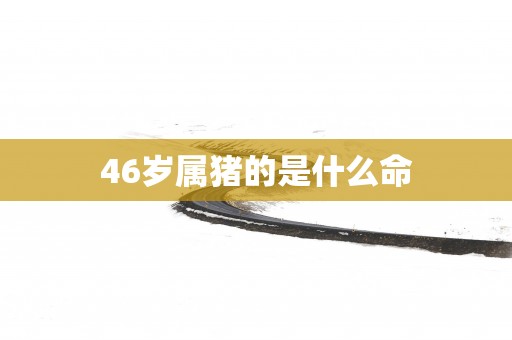 46岁属猪的是什么命