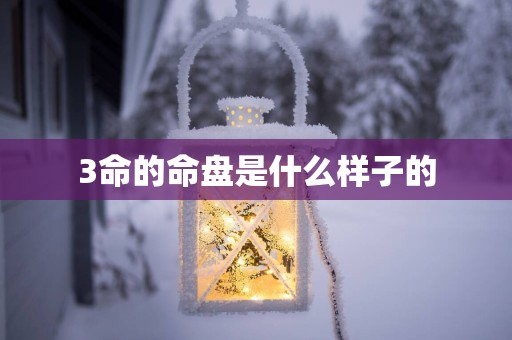 3命的命盘是什么样子的