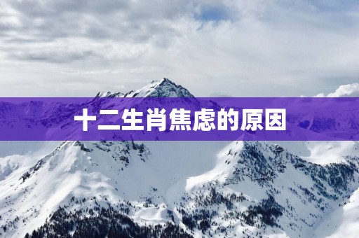 十二生肖焦虑的原因