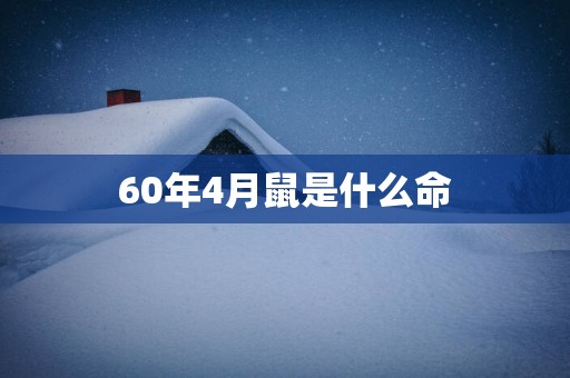 60年4月鼠是什么命