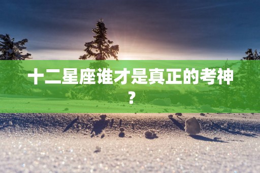 十二星座谁才是真正的考神？