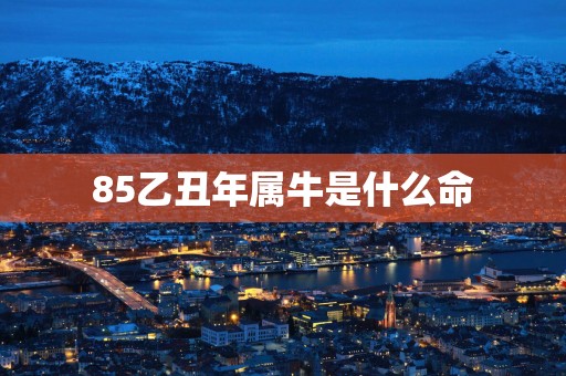 85乙丑年属牛是什么命