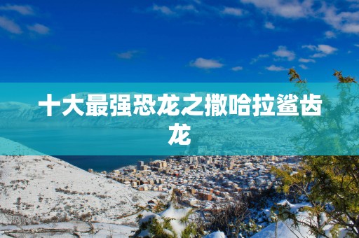 十大最强恐龙之撒哈拉鲨齿龙