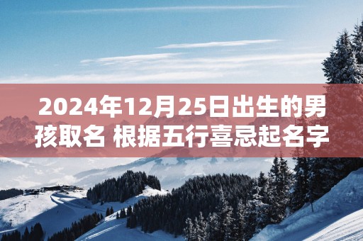 2025年12月25日出生的男孩取名 根据五行喜忌起名字