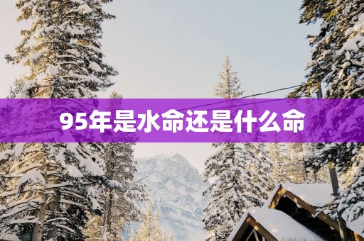 95年是水命还是什么命