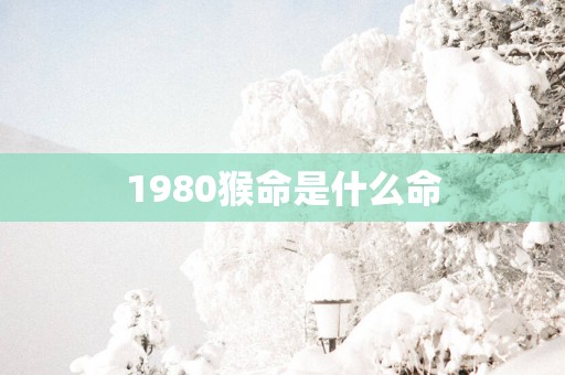 1980猴命是什么命
