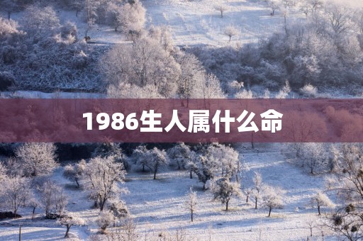 1986生人属什么命