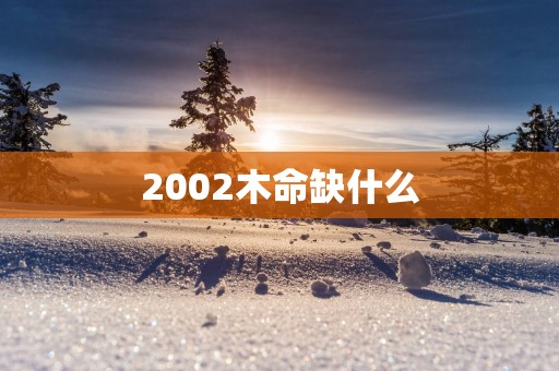 2002木命缺什么