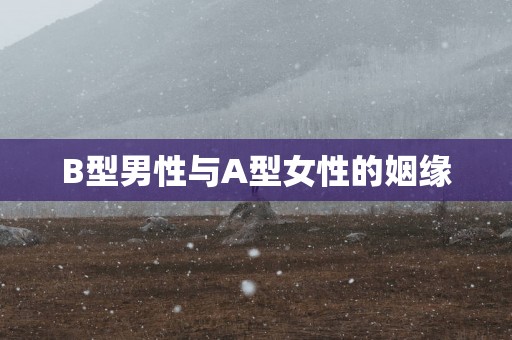 B型男性与A型女性的姻缘