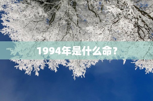 1994年是什么命? 1994年是什么命?