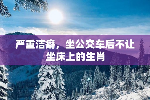 严重洁癖，坐公交车后不让坐床上的生肖