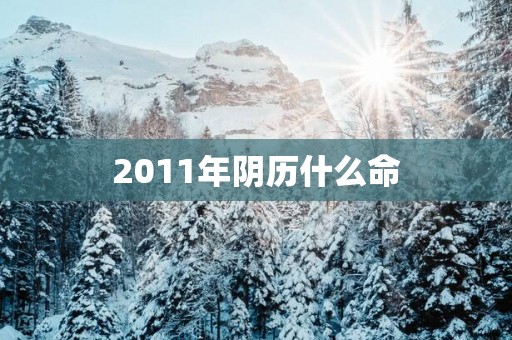 2011年阴历什么命 2011年阴历什么命