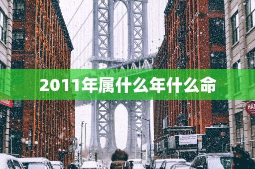 2011年属什么年什么命