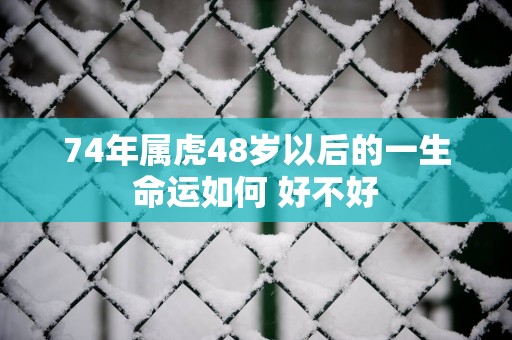 74年属虎48岁以后的一生命运如何 好不好