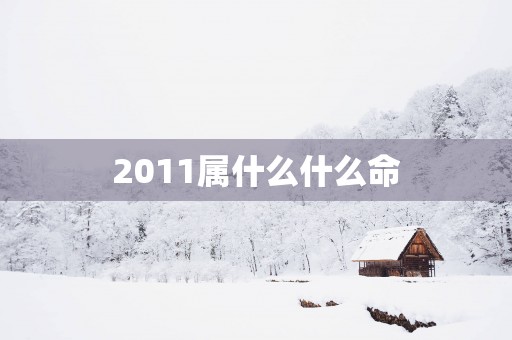 2011属什么什么命