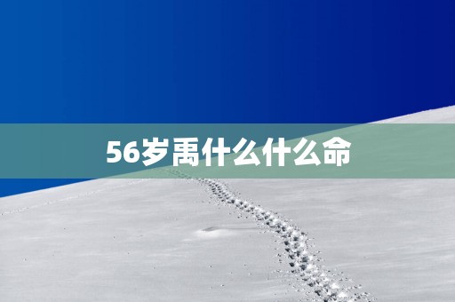 56岁禹什么什么命