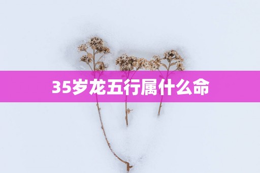 35岁龙五行属什么命
