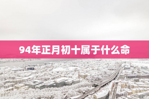 94年正月初十属于什么命