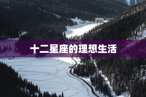 十二星座的理想生活