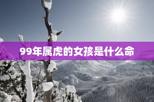 99年属虎的女孩是什么命
