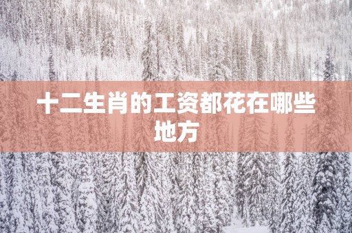 十二生肖的工资都花在哪些地方