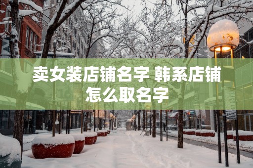 卖女装店铺名字 韩系店铺怎么取名字