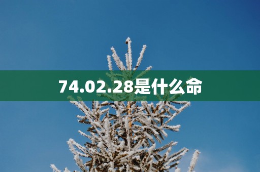 74.02.28是什么命